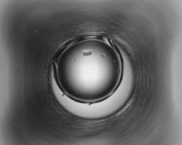 X0000097871161200803211308