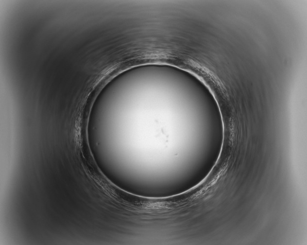 X0000097871162200803211308