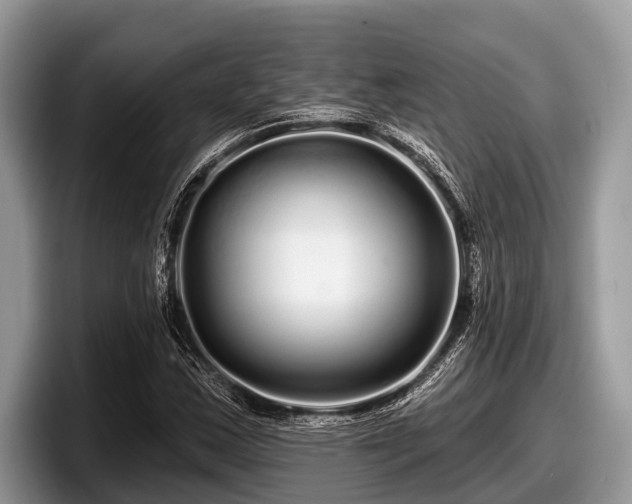 X0000097871163200803211308