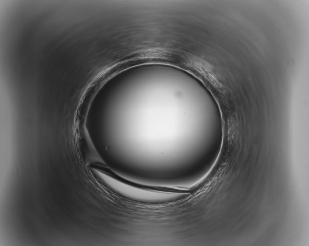 X0000097871164200803211308