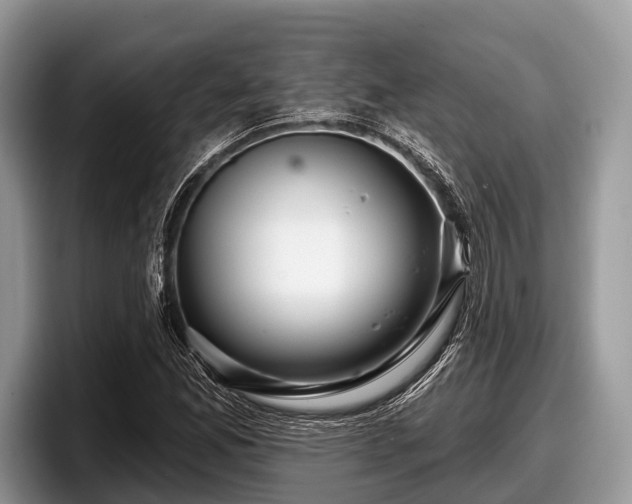 X0000097871165200803211308