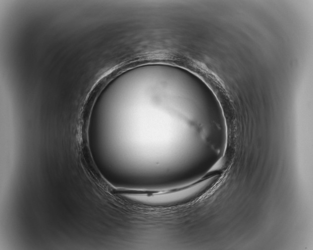 X0000097871166200803211308