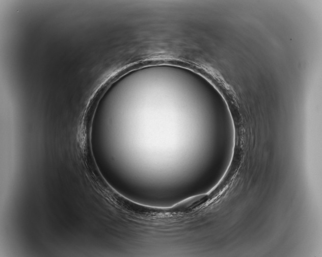 X0000097871167200803211308
