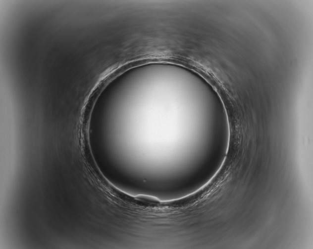 X0000097871168200803211308