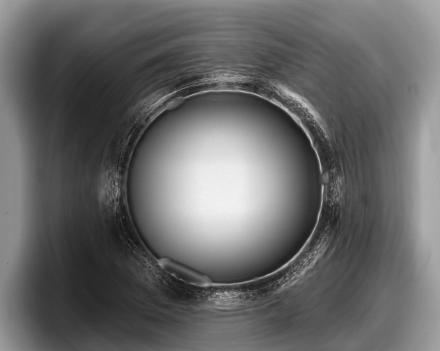 X0000097871169200803211308