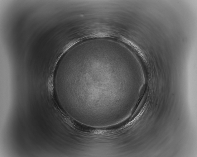 X0000097871170200803211308