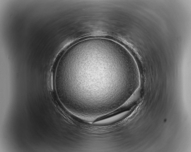 X0000097871171200803211308