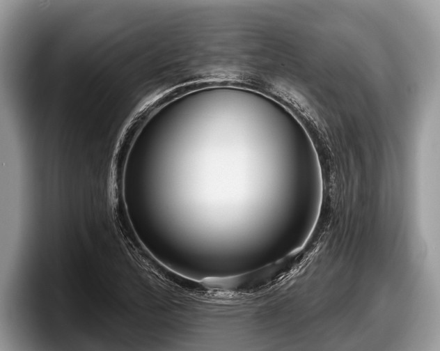 X0000097871172200803211308