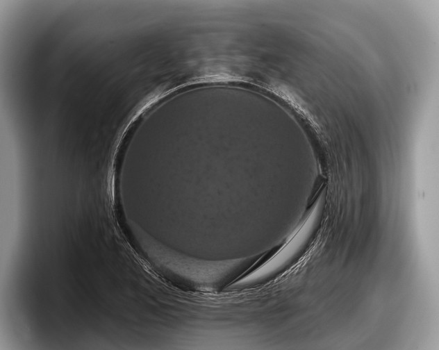 X0000097871173200803211308