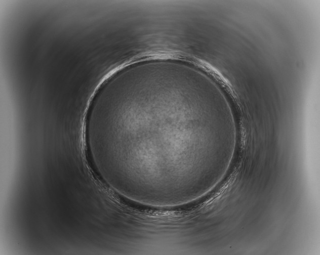 X0000097871174200803211308