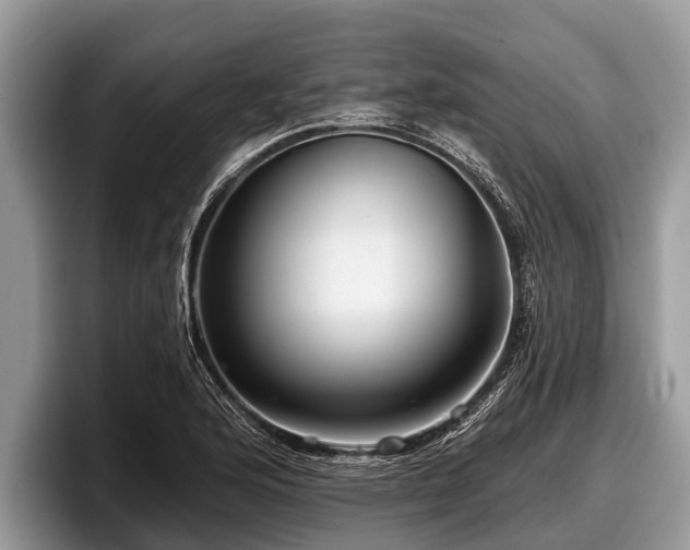 X0000097871176200803211308