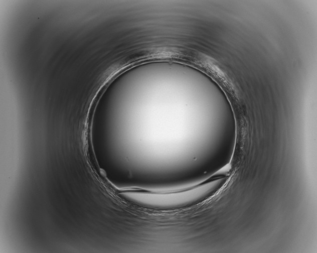 X0000097871178200803211308