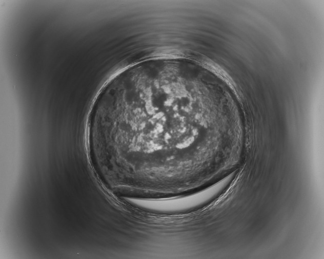 X0000097871179200803211308
