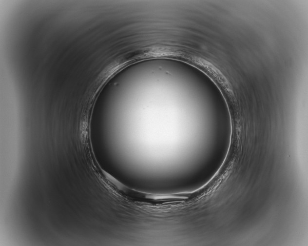 X0000097871185200803211308