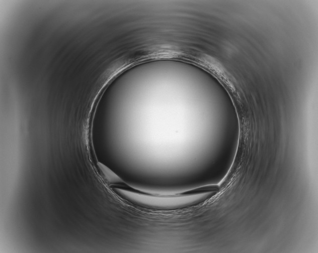 X0000097871186200803211308
