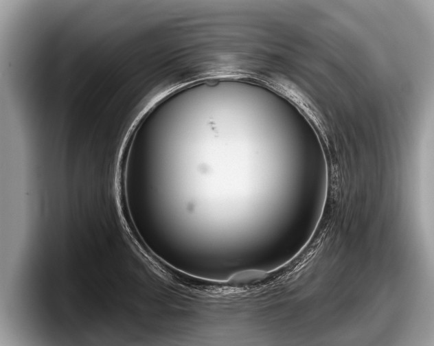 X0000097871187200803211308