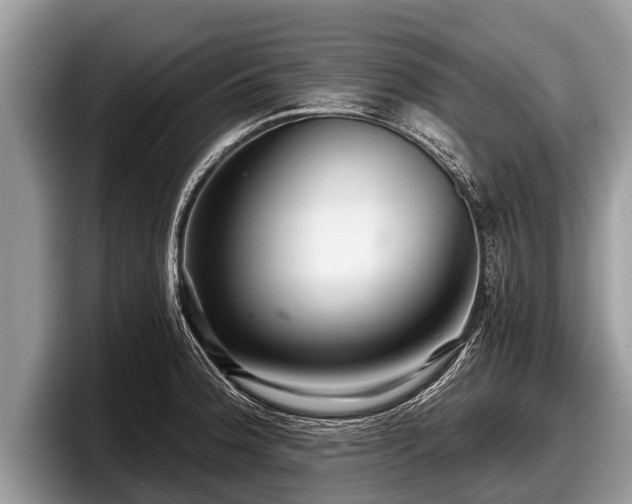 X0000097871188200803211308