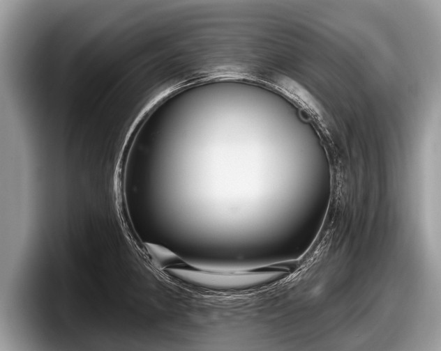 X0000097871190200803211308