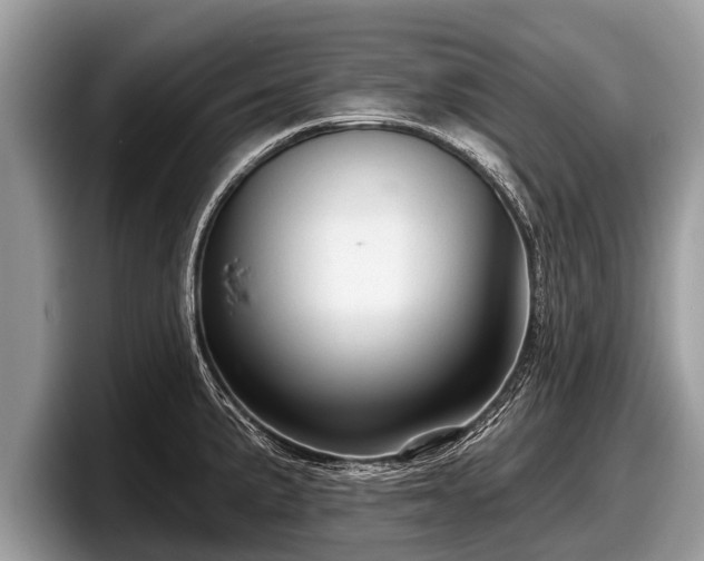 X0000097871191200803211308