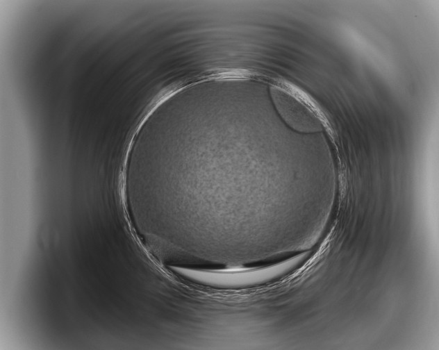 X0000097871194200803211308