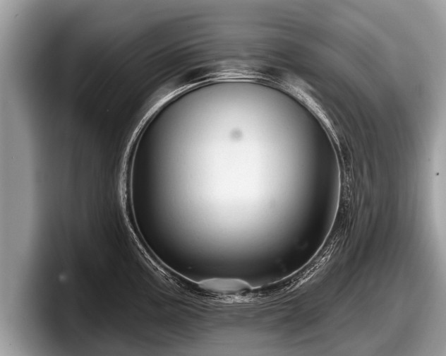 X0000097871195200803211308