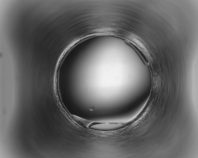 X0000097871196200803211308