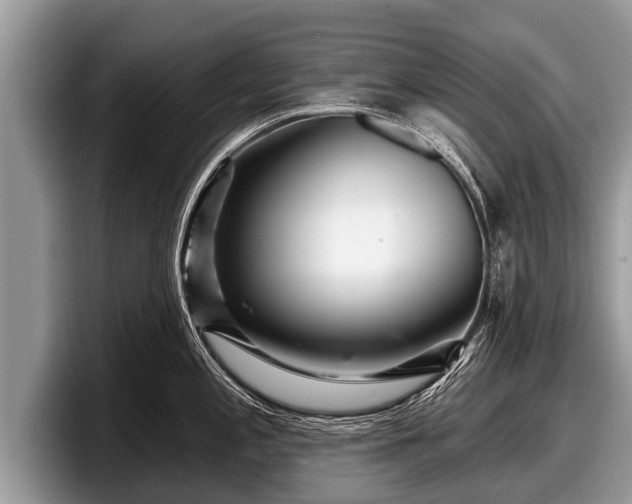 X0000097871197200803211308