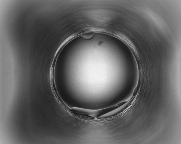 X0000097871198200803211308