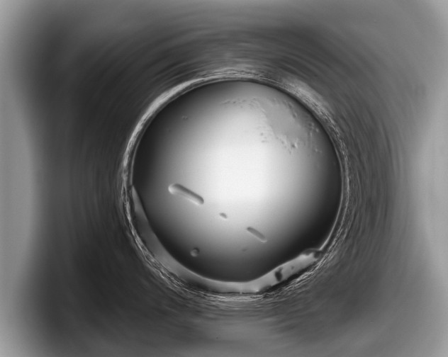 X0000097871200200803211308