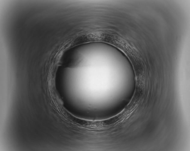 X0000097871201200803211307