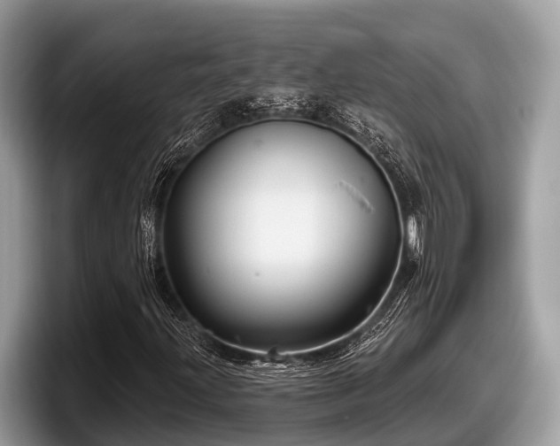 X0000097871203200803211307