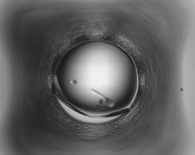 X0000097871204200803211307