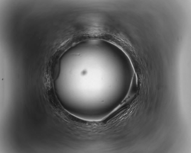 X0000097871205200803211307