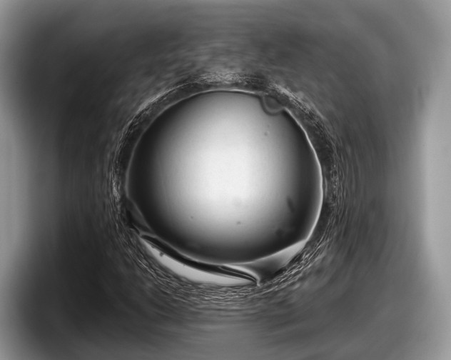 X0000097871206200803211307