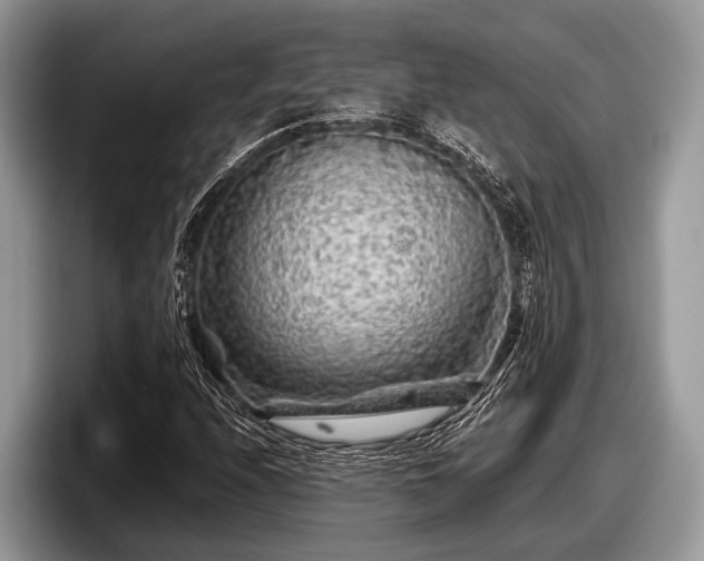 X0000097871208200803211307