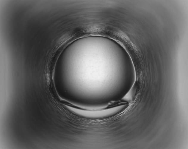 X0000097871209200803211307