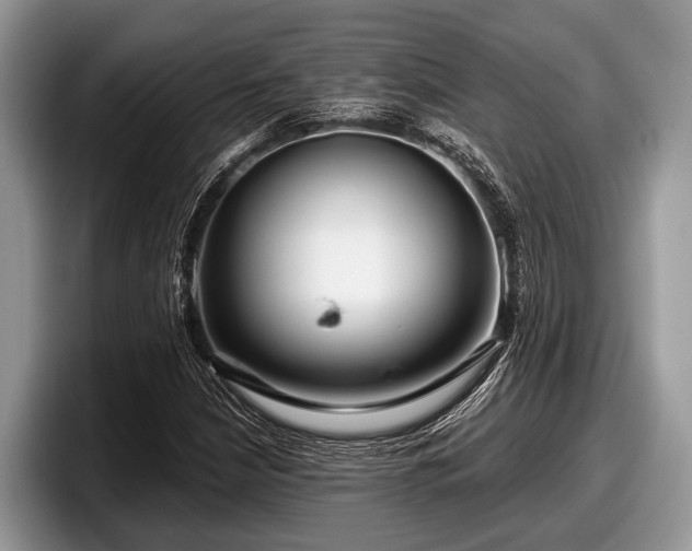 X0000097871210200803211307