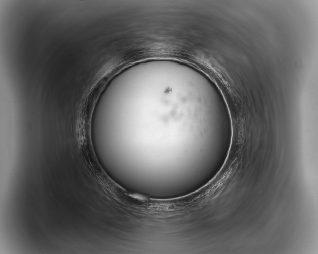 X0000097871211200803211307