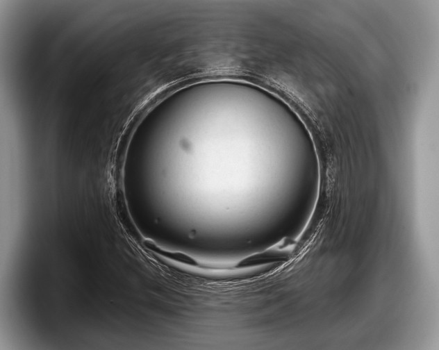 X0000097871212200803211307