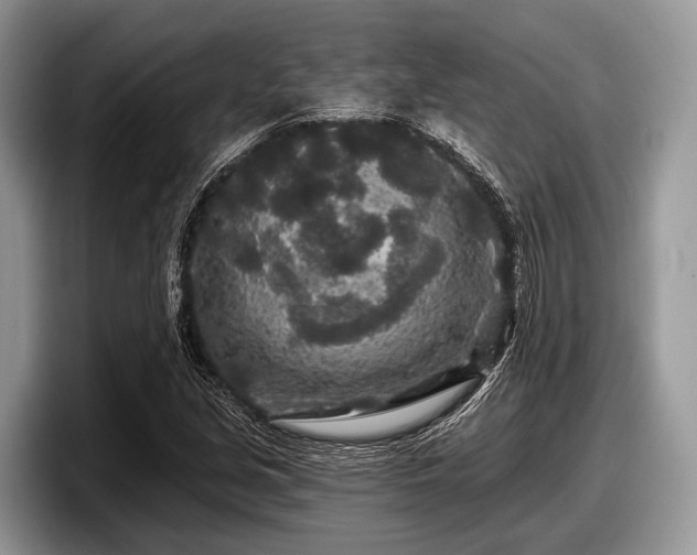 X0000097871213200803211307