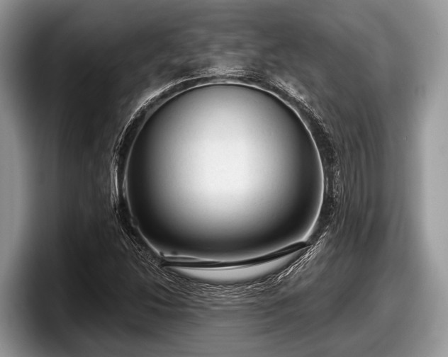 X0000097871214200803211307