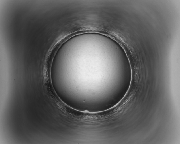 X0000097871215200803211307