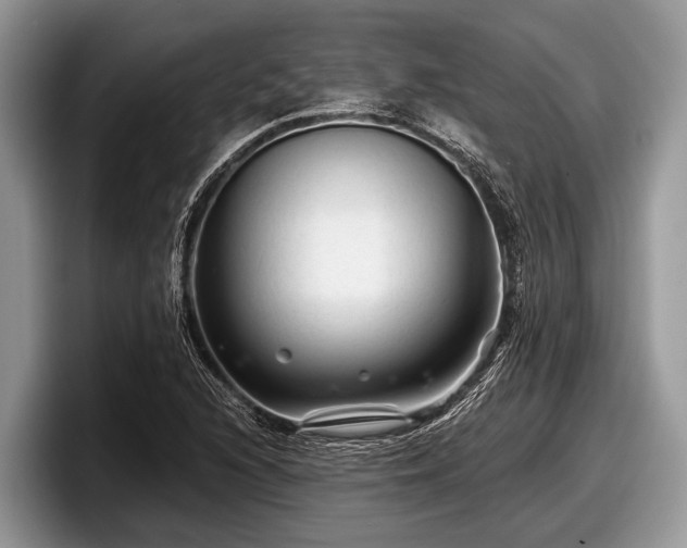 X0000097871216200803211307