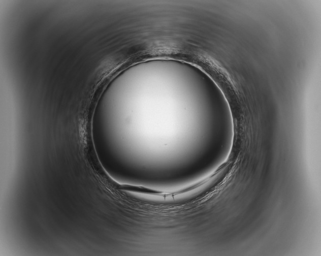 X0000097871217200803211307