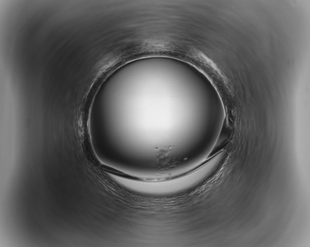 X0000097871218200803211307