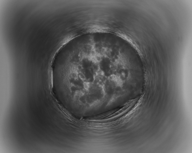 X0000097871219200803211307