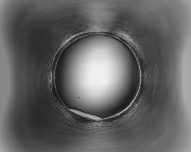 X0000097871220200803211307