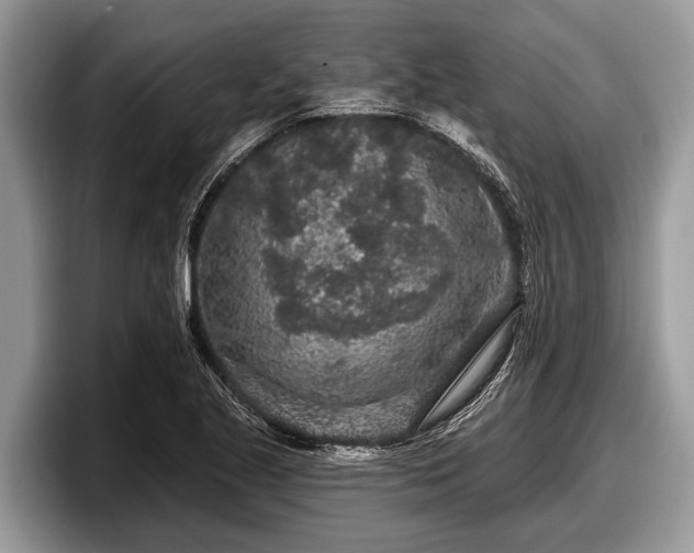 X0000097871221200803211307