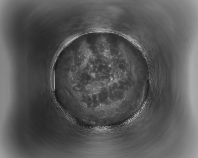 X0000097871223200803211307