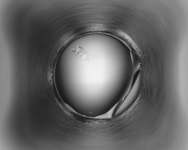 X0000097871225200803211307
